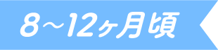 8〜12ヶ月頃